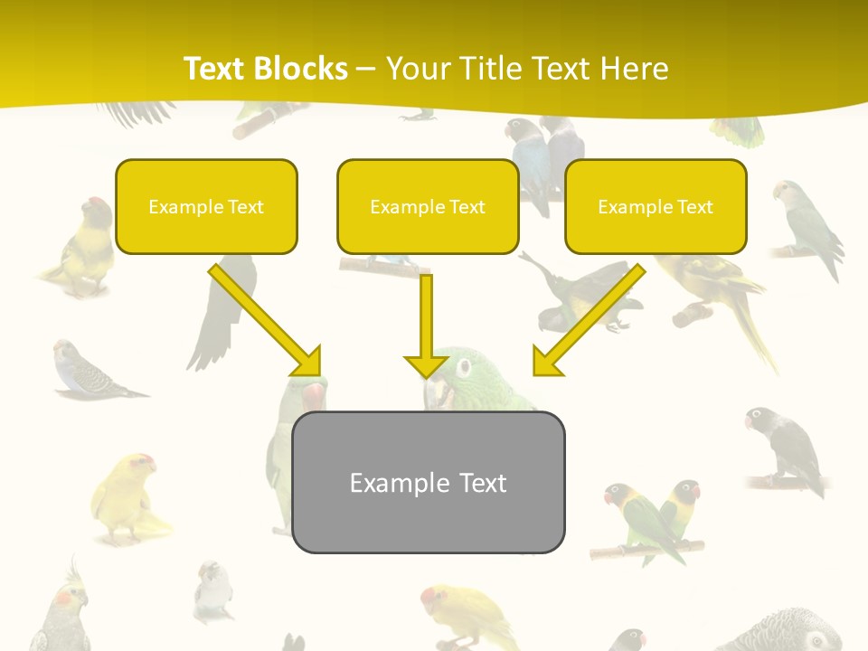 Wildlife Animal Themes Mealy Amazon PowerPoint Template