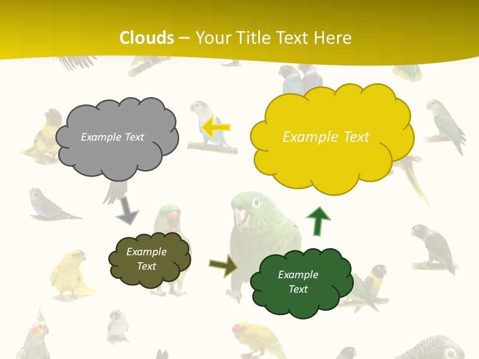 Wildlife Animal Themes Mealy Amazon PowerPoint Template