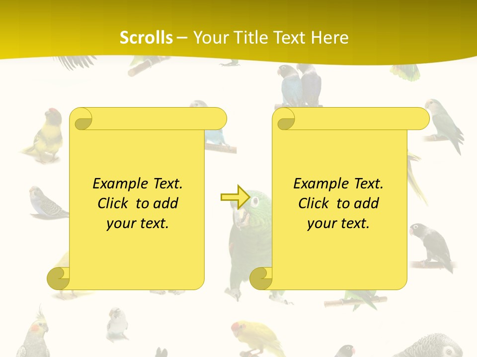 Wildlife Animal Themes Mealy Amazon PowerPoint Template
