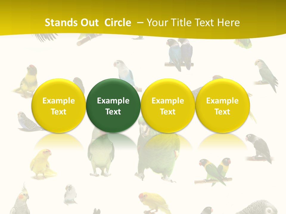 Wildlife Animal Themes Mealy Amazon PowerPoint Template