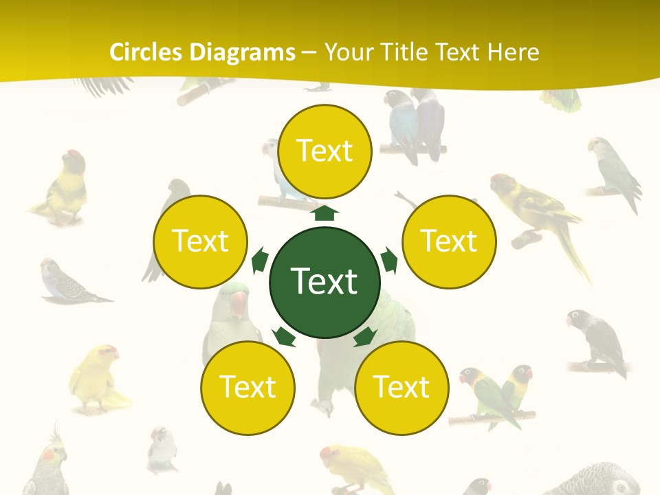 Wildlife Animal Themes Mealy Amazon PowerPoint Template