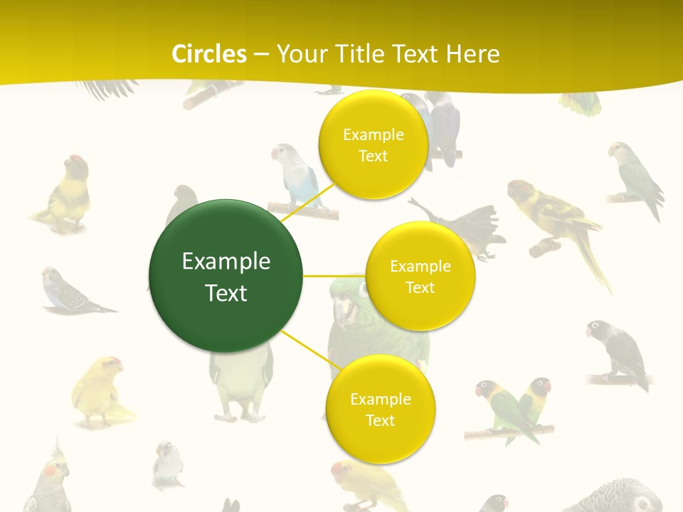 Wildlife Animal Themes Mealy Amazon PowerPoint Template