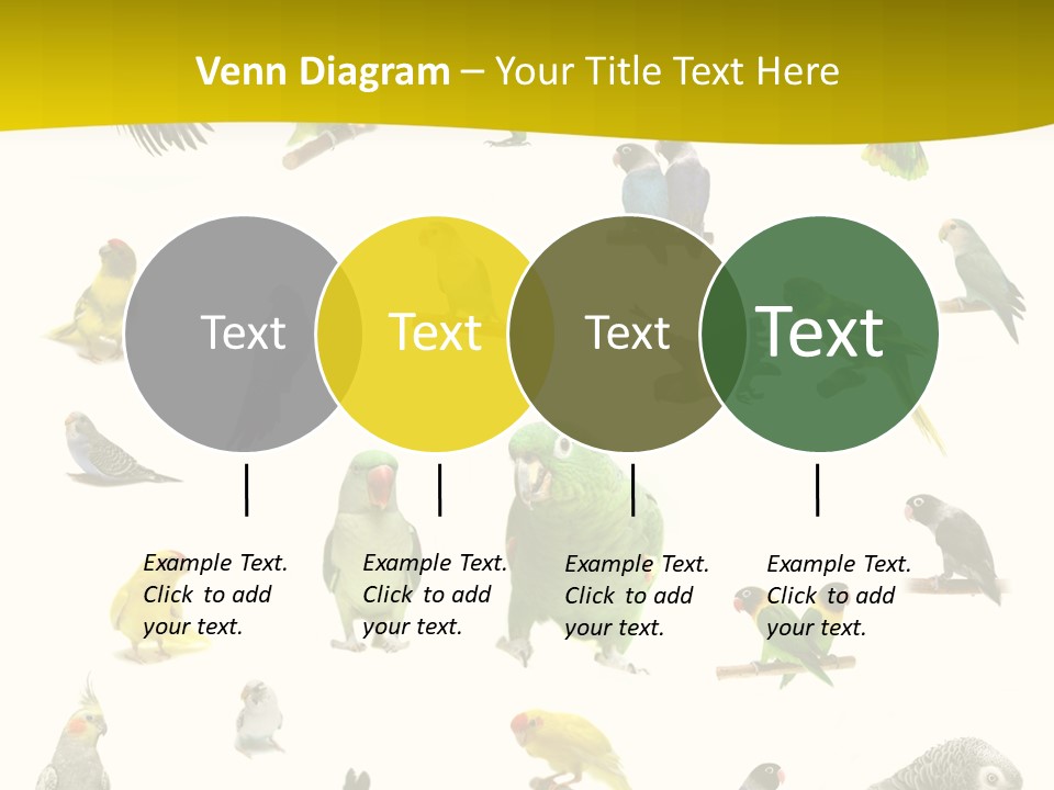 Wildlife Animal Themes Mealy Amazon PowerPoint Template