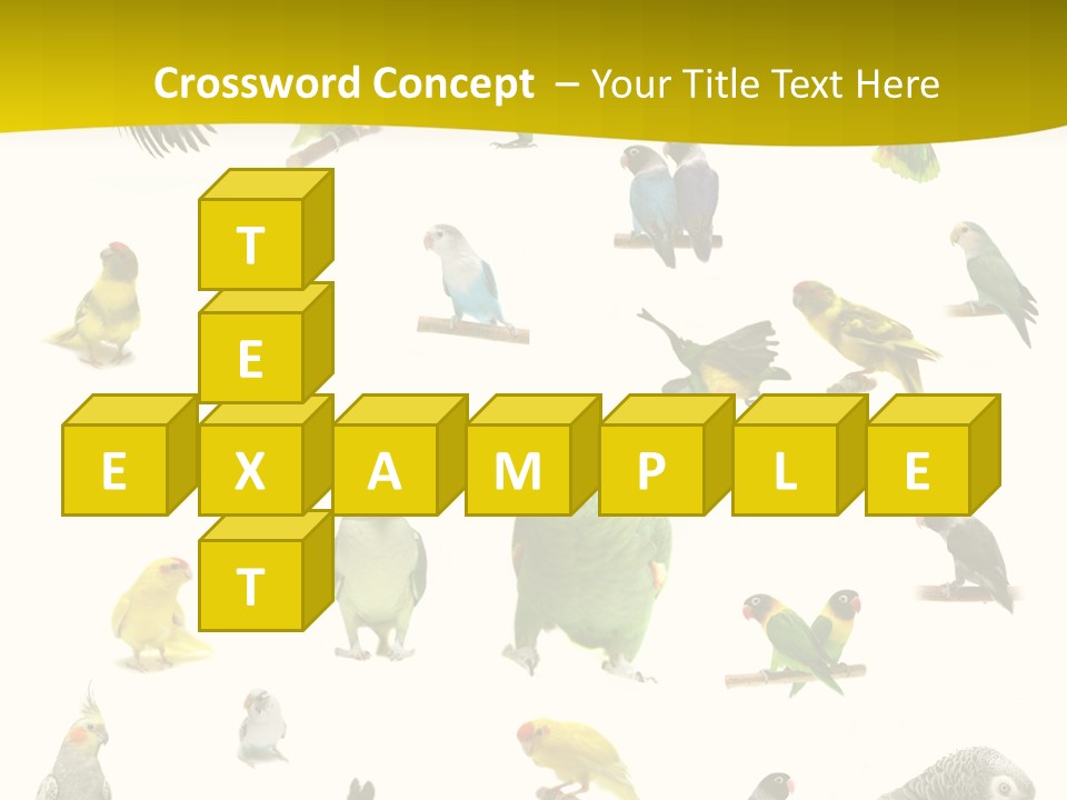 Wildlife Animal Themes Mealy Amazon PowerPoint Template