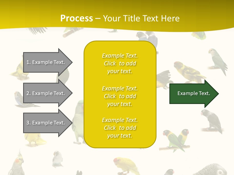 Wildlife Animal Themes Mealy Amazon PowerPoint Template