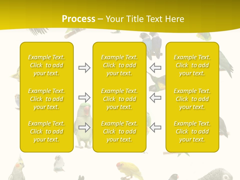 Wildlife Animal Themes Mealy Amazon PowerPoint Template