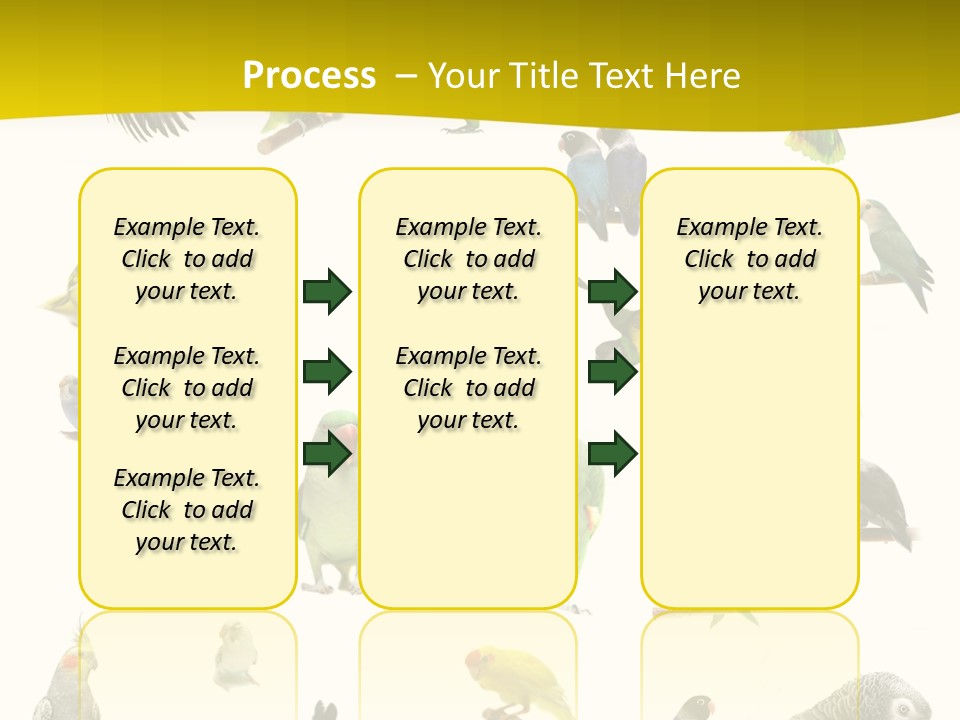 Wildlife Animal Themes Mealy Amazon PowerPoint Template