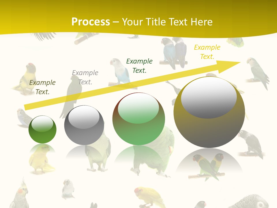 Wildlife Animal Themes Mealy Amazon PowerPoint Template