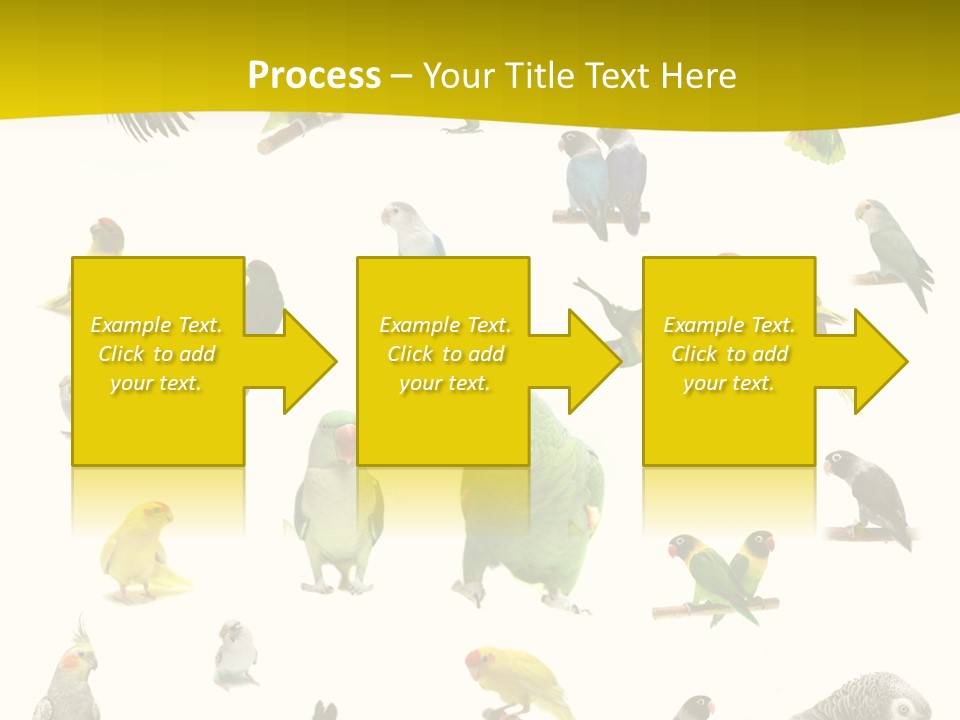 Wildlife Animal Themes Mealy Amazon PowerPoint Template