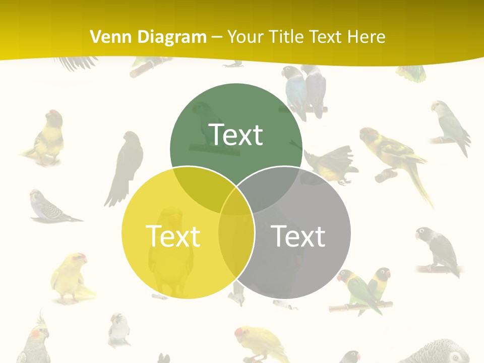 Wildlife Animal Themes Mealy Amazon PowerPoint Template