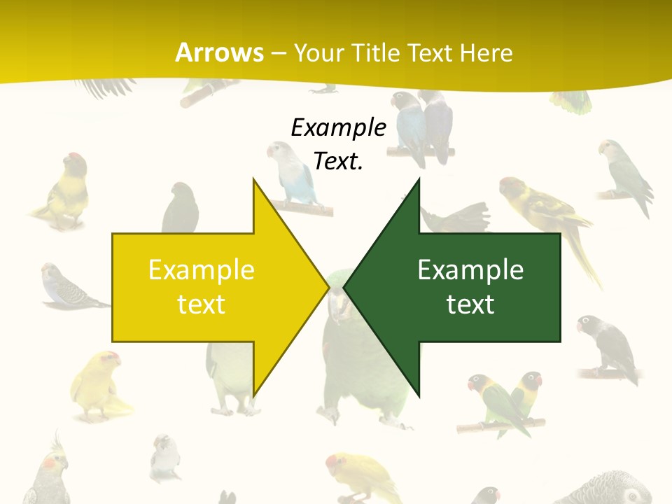 Wildlife Animal Themes Mealy Amazon PowerPoint Template