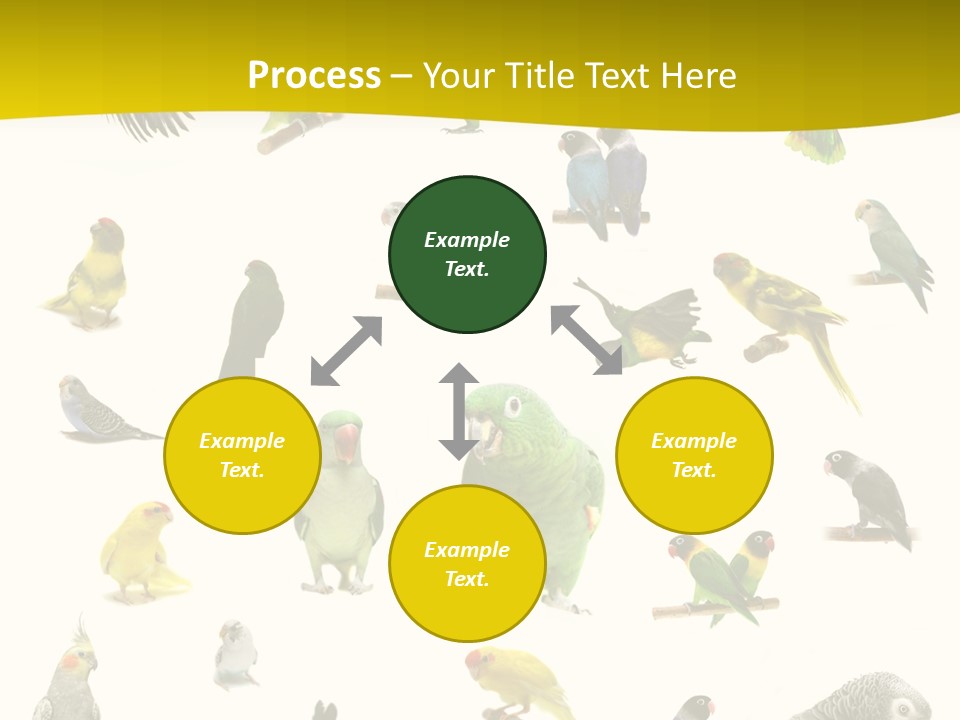 Wildlife Animal Themes Mealy Amazon PowerPoint Template