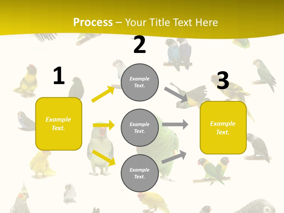 Wildlife Animal Themes Mealy Amazon PowerPoint Template