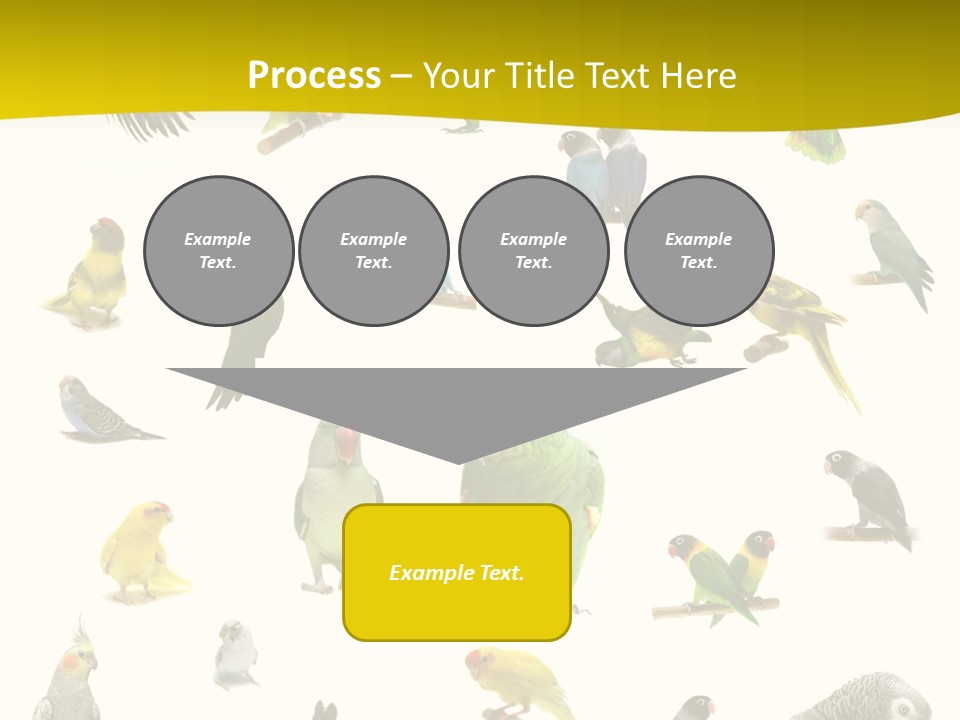 Wildlife Animal Themes Mealy Amazon PowerPoint Template