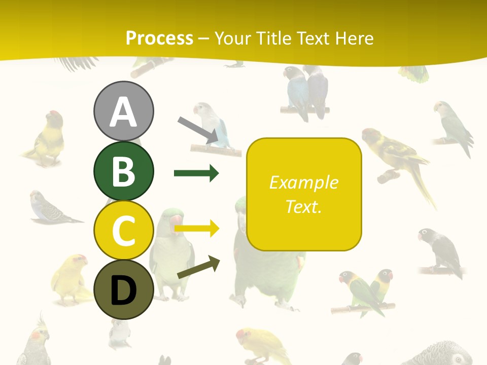 Wildlife Animal Themes Mealy Amazon PowerPoint Template