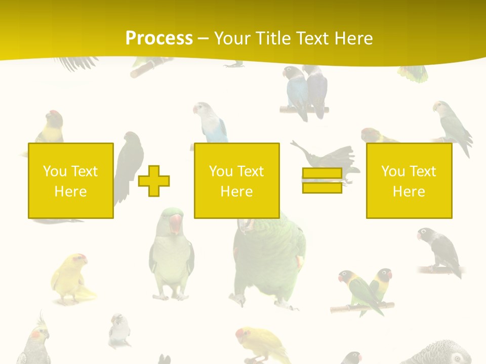 Wildlife Animal Themes Mealy Amazon PowerPoint Template