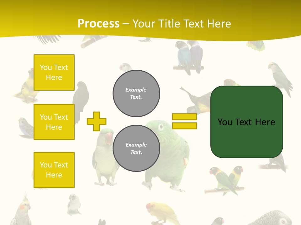 Wildlife Animal Themes Mealy Amazon PowerPoint Template