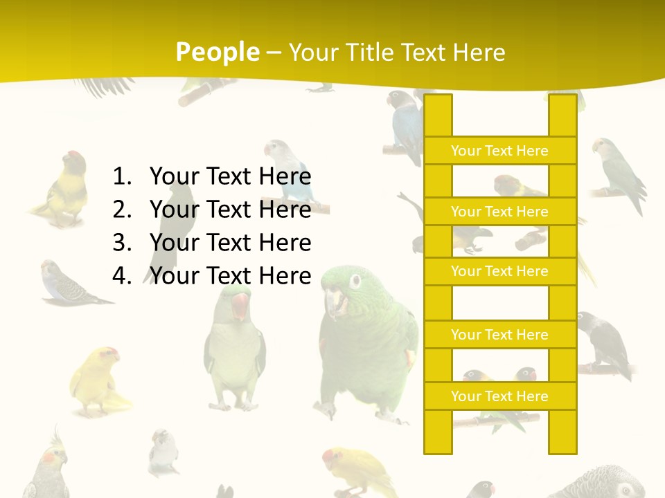 Wildlife Animal Themes Mealy Amazon PowerPoint Template