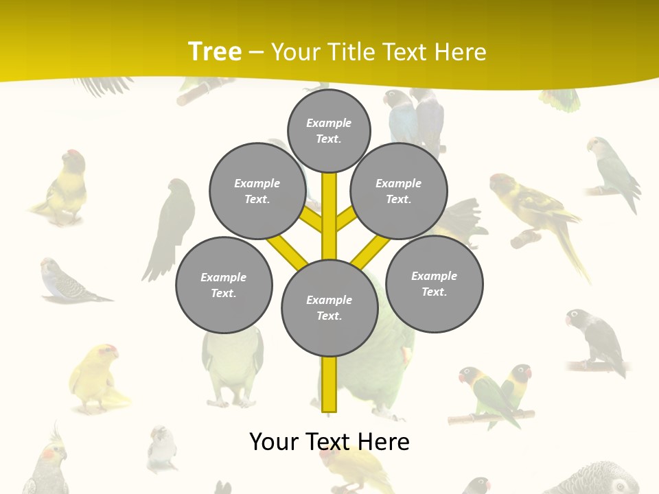 Wildlife Animal Themes Mealy Amazon PowerPoint Template
