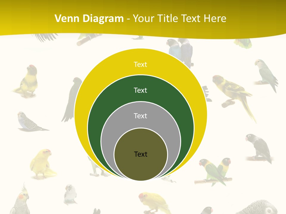 Wildlife Animal Themes Mealy Amazon PowerPoint Template