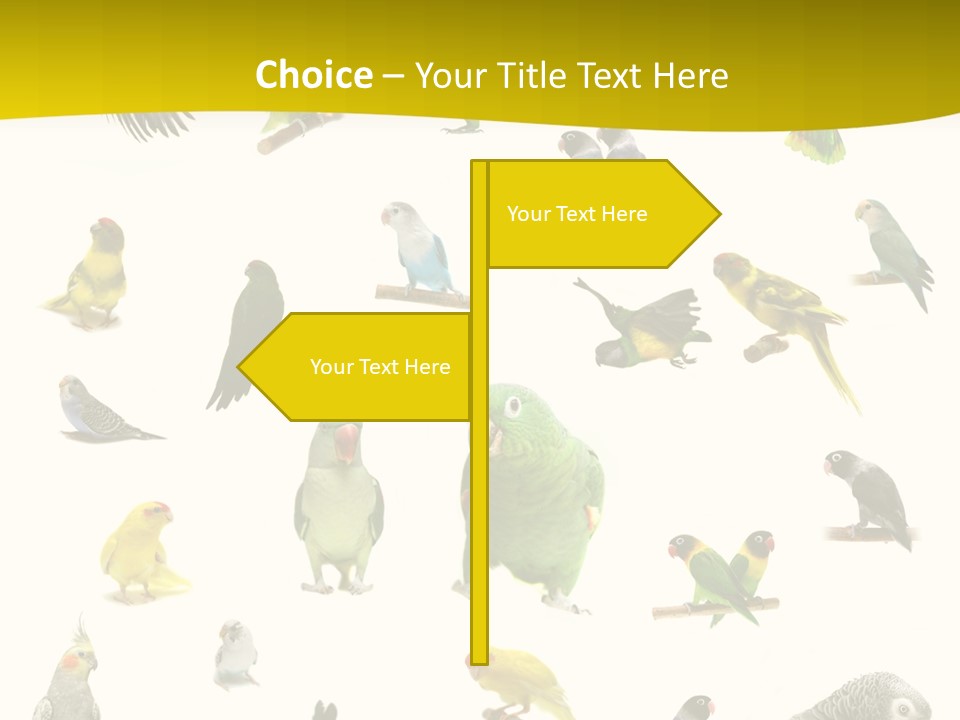 Wildlife Animal Themes Mealy Amazon PowerPoint Template
