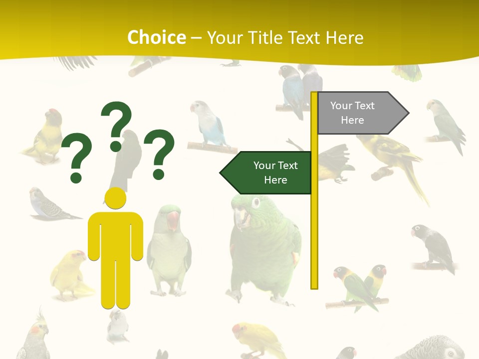 Wildlife Animal Themes Mealy Amazon PowerPoint Template