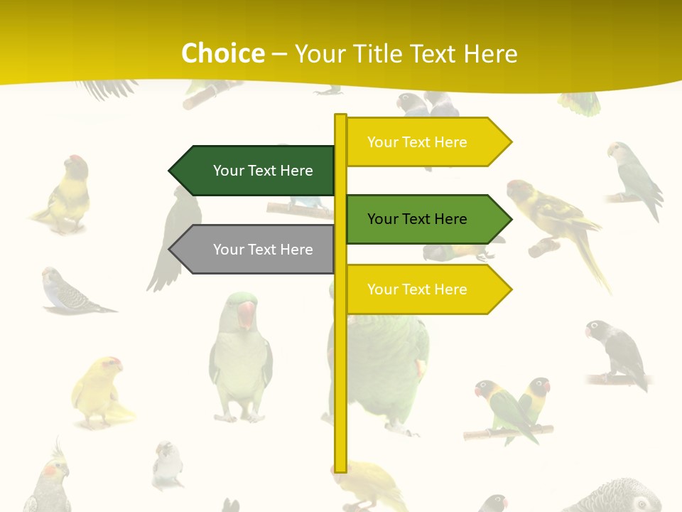 Wildlife Animal Themes Mealy Amazon PowerPoint Template