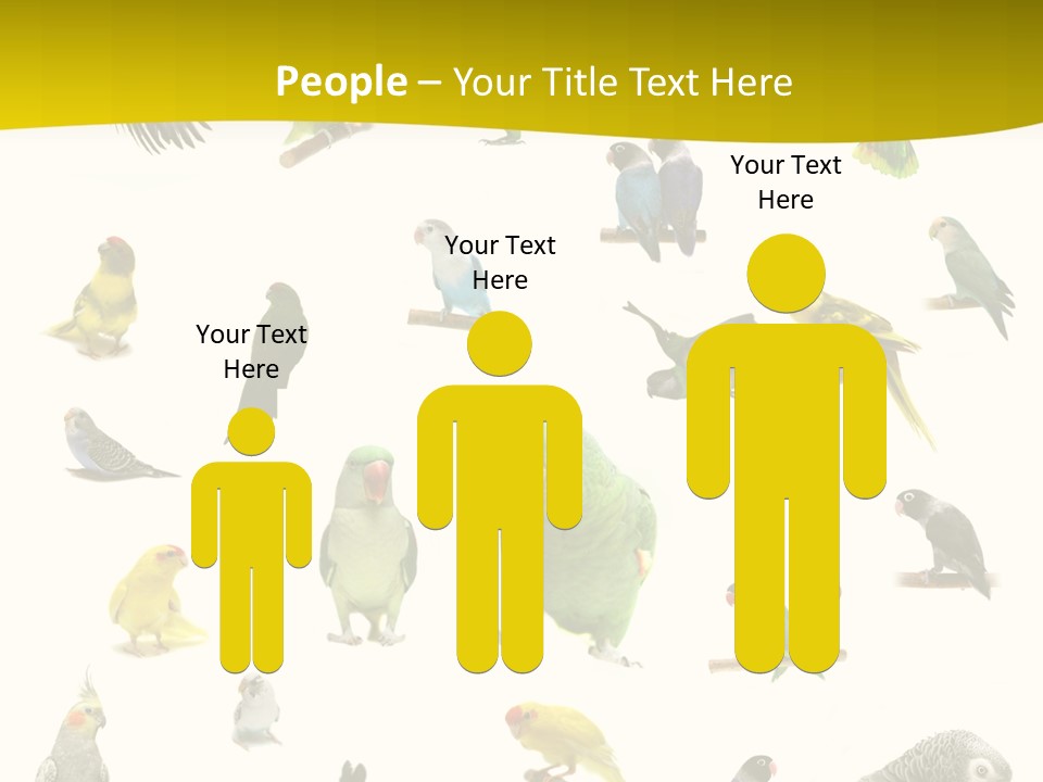 Wildlife Animal Themes Mealy Amazon PowerPoint Template