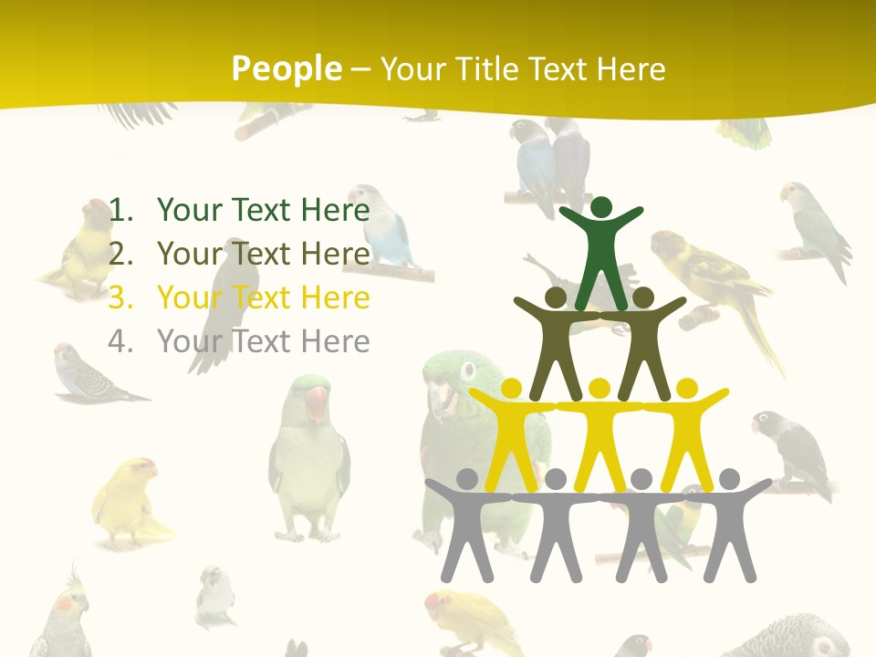 Wildlife Animal Themes Mealy Amazon PowerPoint Template