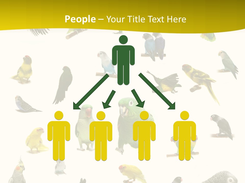 Wildlife Animal Themes Mealy Amazon PowerPoint Template