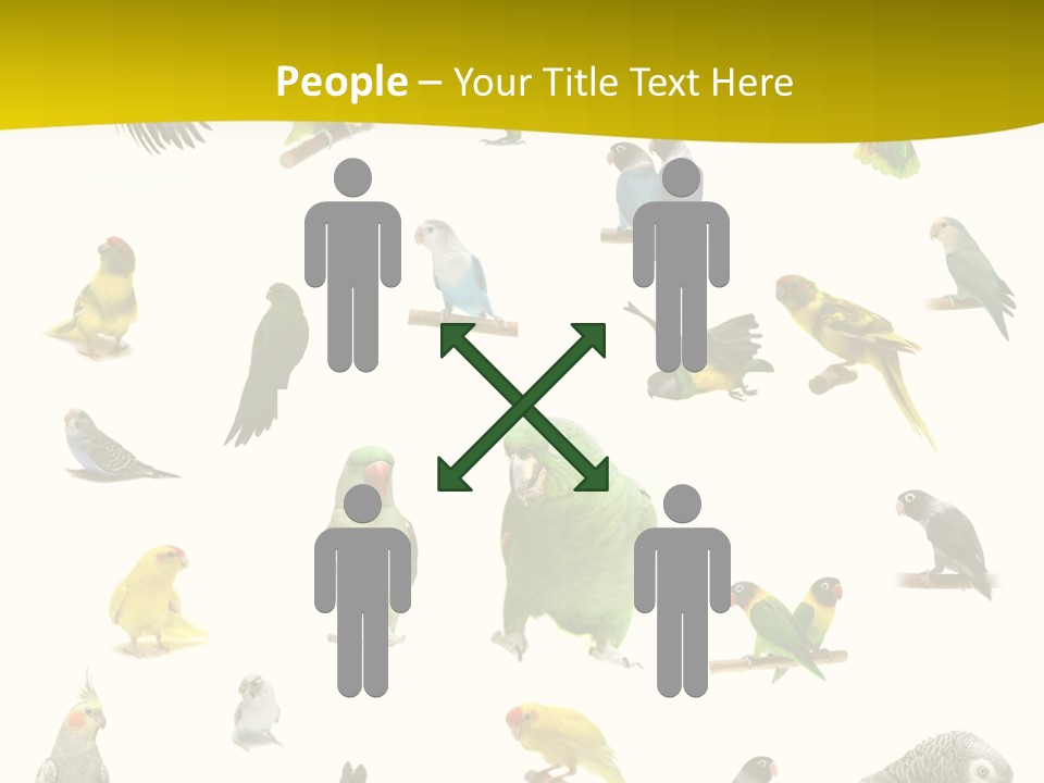 Wildlife Animal Themes Mealy Amazon PowerPoint Template