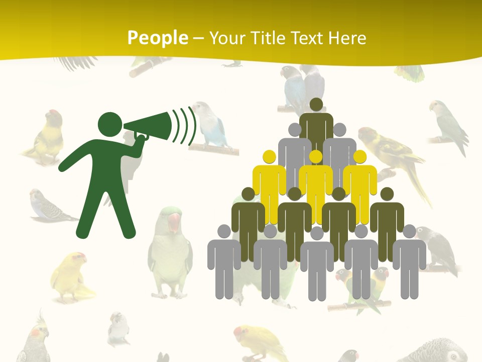 Wildlife Animal Themes Mealy Amazon PowerPoint Template