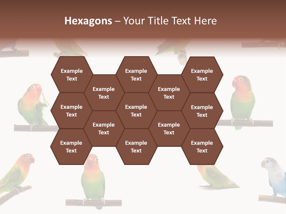 Sympathy Loud Branch PowerPoint Template