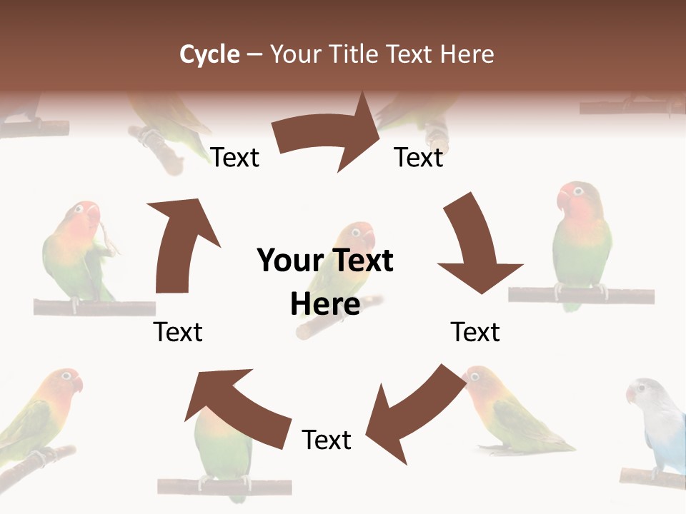 Sympathy Loud Branch PowerPoint Template