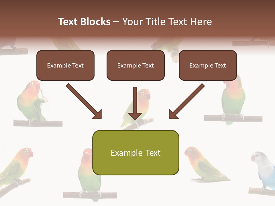 Sympathy Loud Branch PowerPoint Template