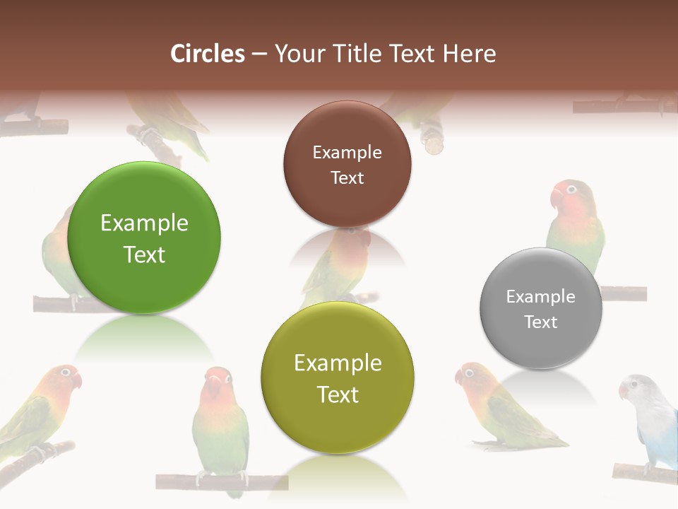 Sympathy Loud Branch PowerPoint Template