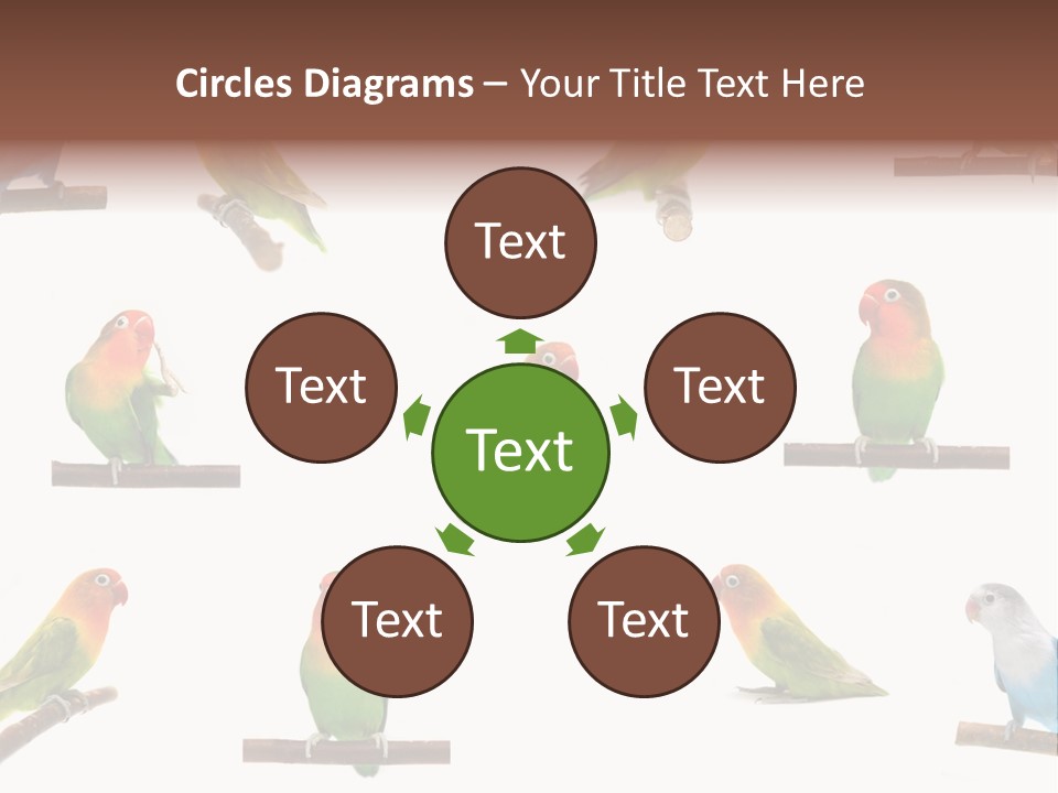 Sympathy Loud Branch PowerPoint Template