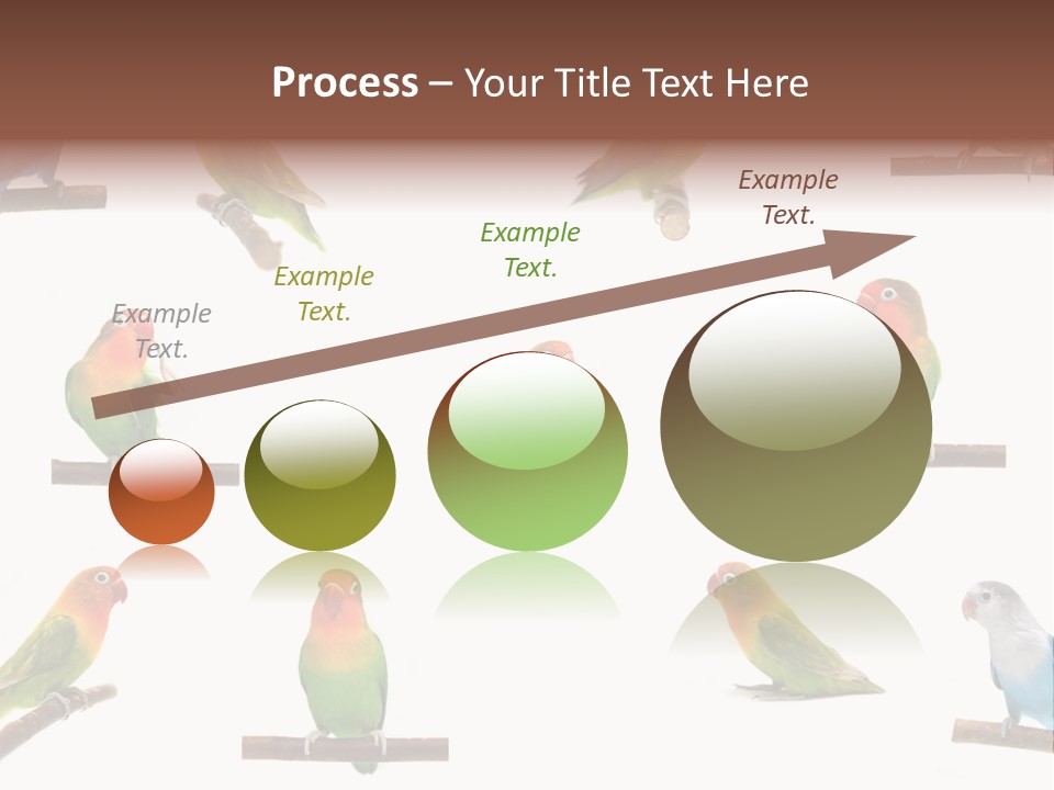Sympathy Loud Branch PowerPoint Template