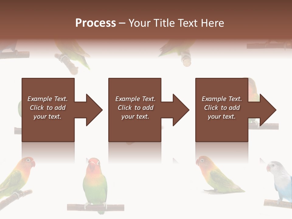 Sympathy Loud Branch PowerPoint Template