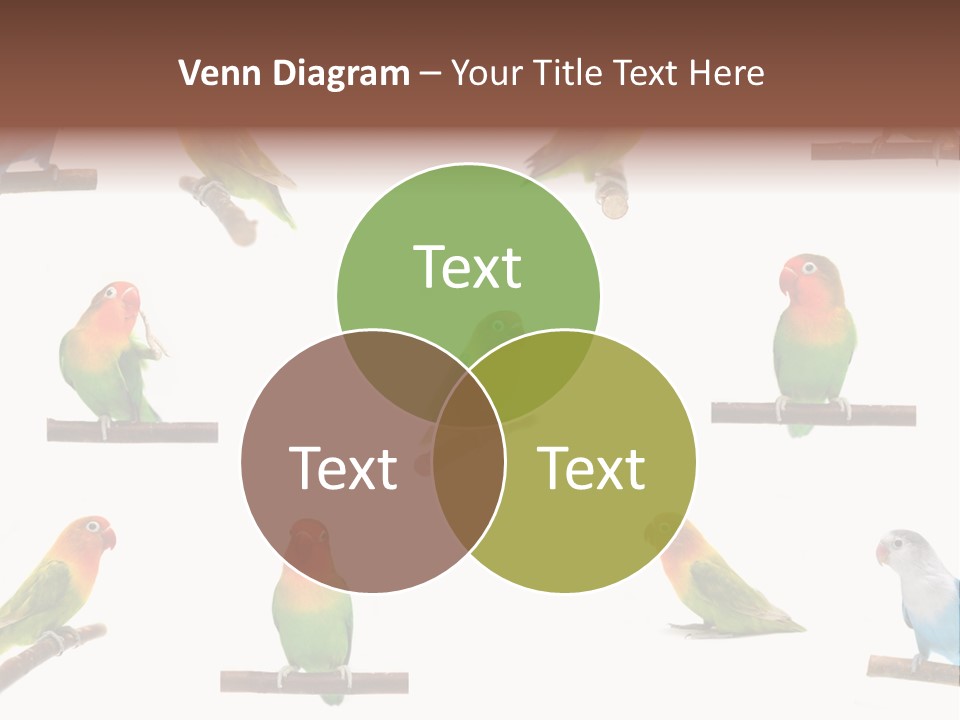 Sympathy Loud Branch PowerPoint Template