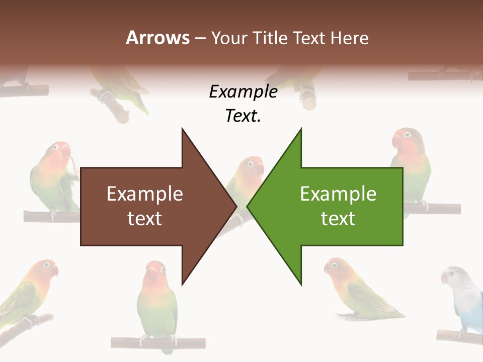 Sympathy Loud Branch PowerPoint Template