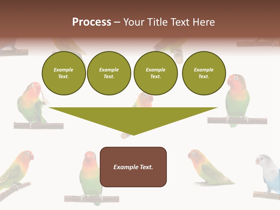 Sympathy Loud Branch PowerPoint Template
