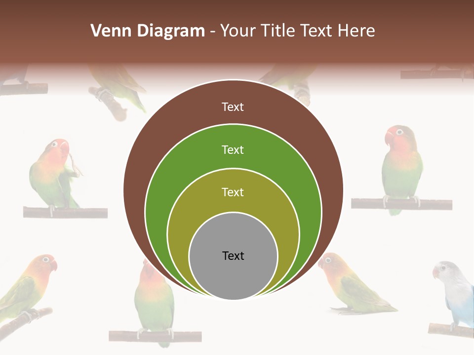 Sympathy Loud Branch PowerPoint Template