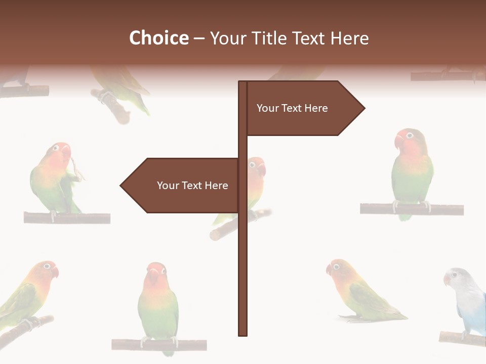 Sympathy Loud Branch PowerPoint Template