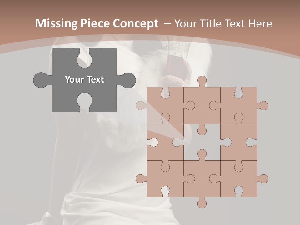 Fur Attractive Elegant PowerPoint Template