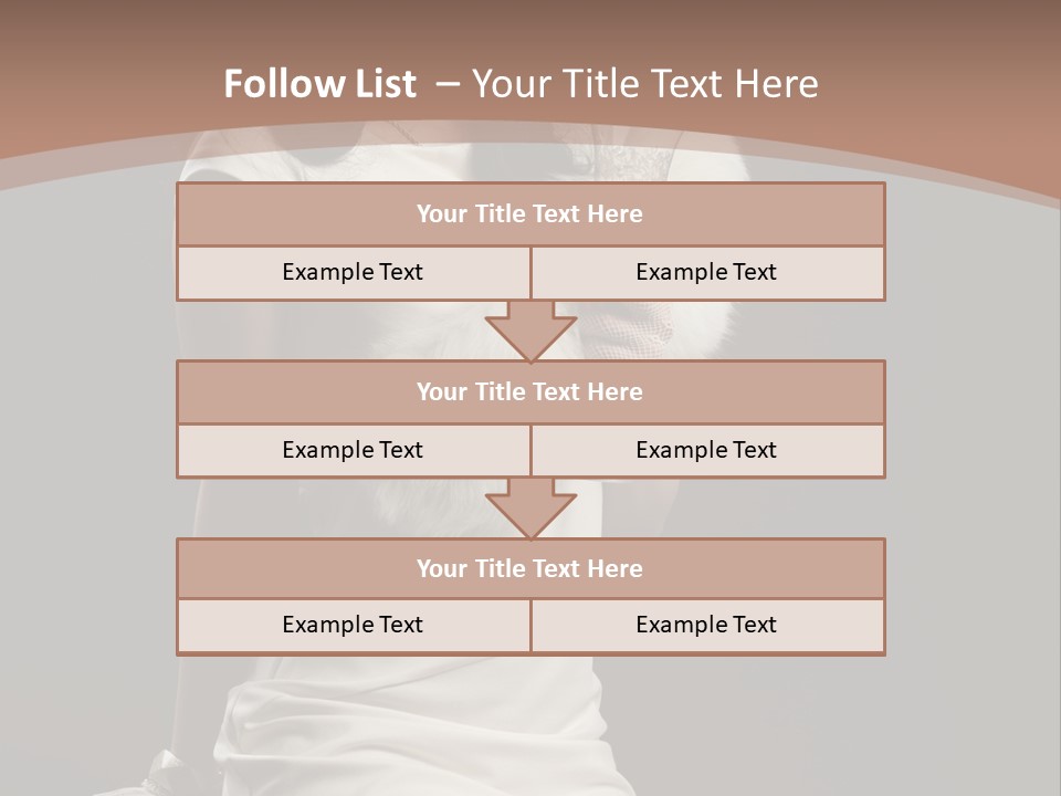 Fur Attractive Elegant PowerPoint Template