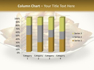 Patties Pakistan Crunchy PowerPoint Template