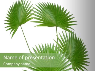Garden Nature Botany PowerPoint Template