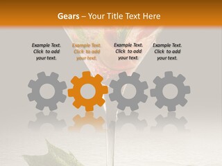 Cold Object Alcohol PowerPoint Template