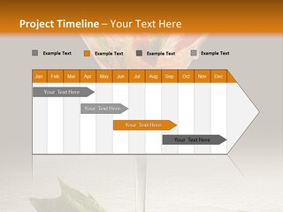 Cold Object Alcohol PowerPoint Template